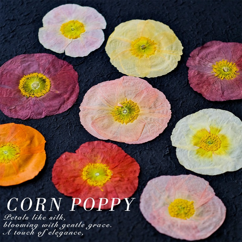 1pcs,Nature Field Poppy Presse - Resin Art Frame 评论和价格