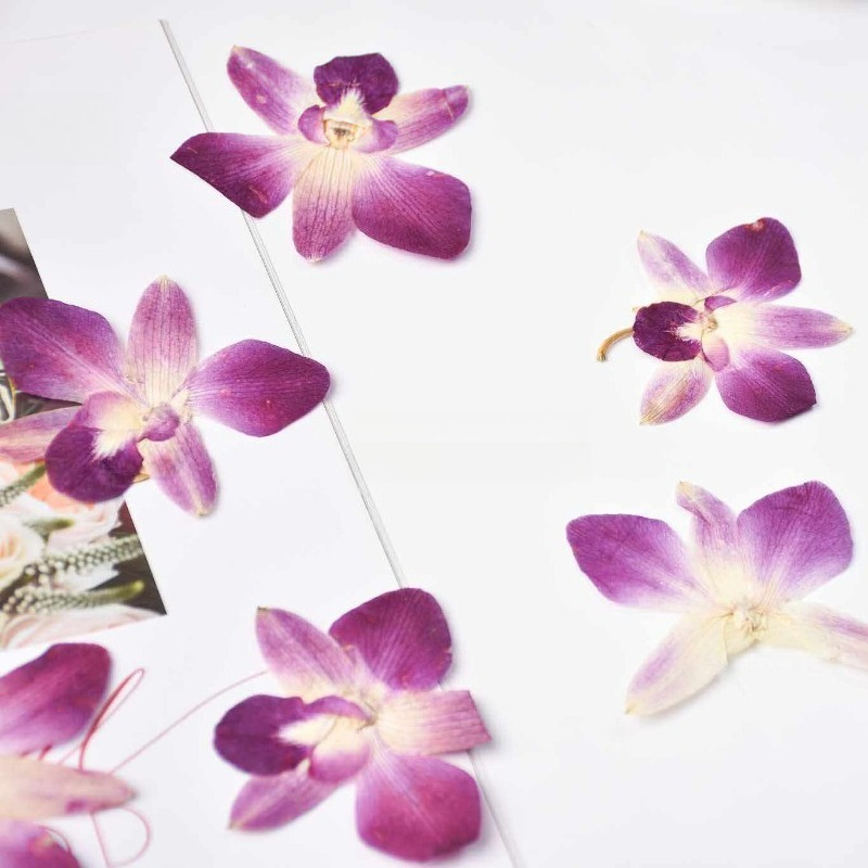 4pcs,Real Pressed Butterfly Or - Resin Art Frame 评论和价格