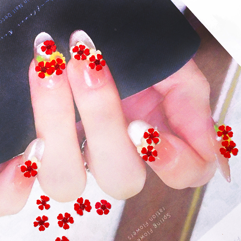 96Pcs Mini 1.5cm Natural Press - Resin Art Frame 评论和价格