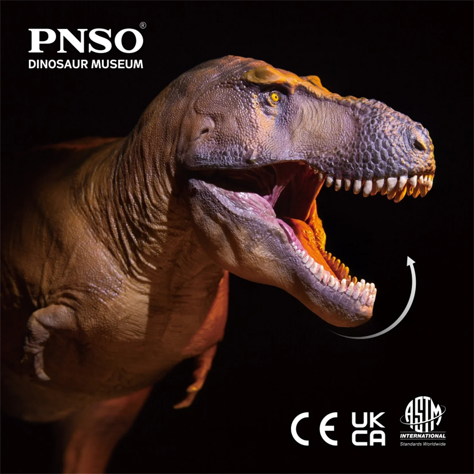 PNSO 1/35 Tyrannosaurus Rex Ca - Resin Art Decoration Items 评论和价格