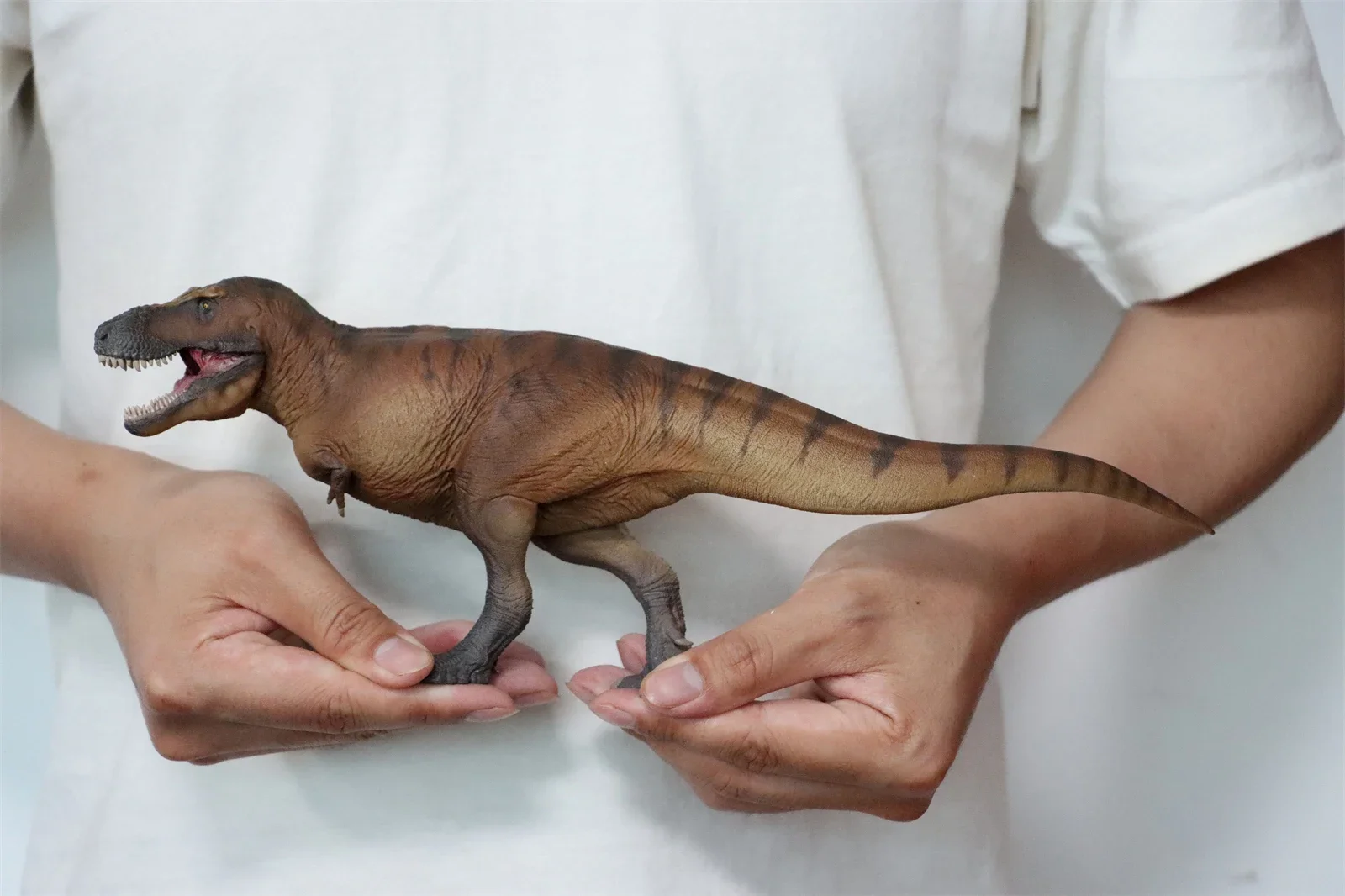 PNSO 1/35 Tyrannosaurus Rex Ca - Resin Art Decoration Items 评论和价格