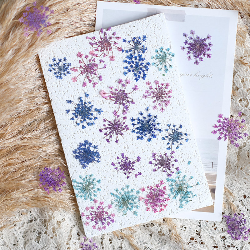 24pcs, 2-2.5cm, Nature Dyed Mi - Resin Art Frame 评论和价格